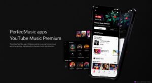 Read more about the article YouTube Premium Features: A Comprehensive Guide for Beginners (2025)